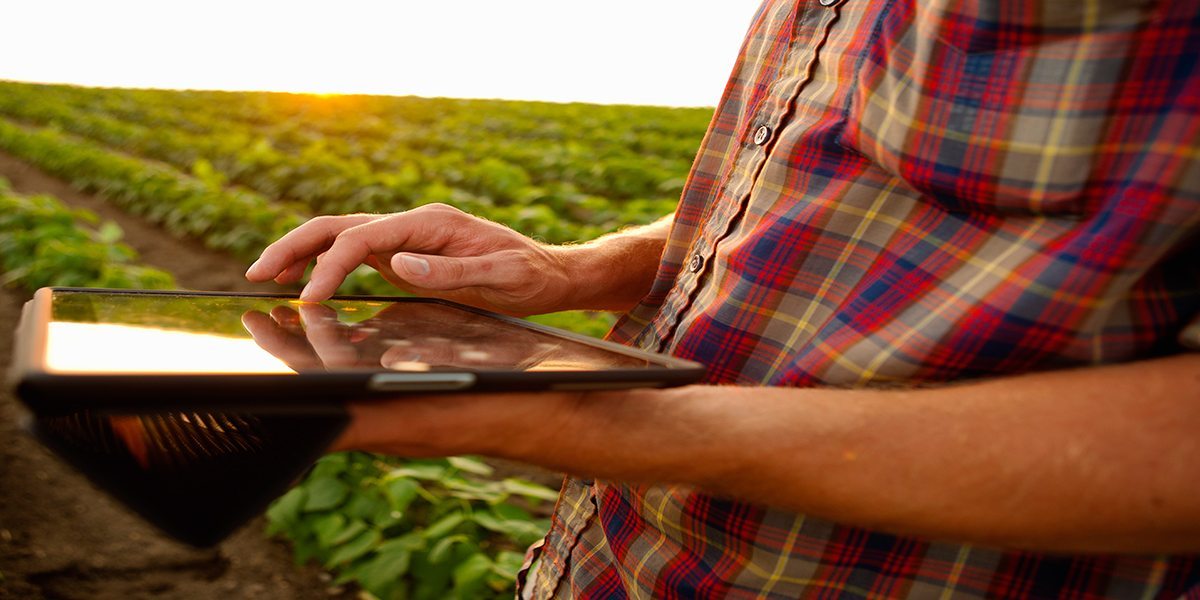 Big Data Agriculture & Your Advertising Strategy
