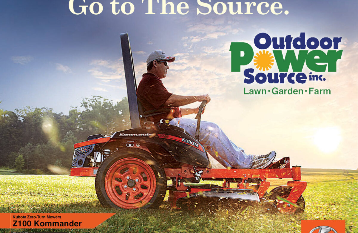 How to Maximize an Advertising Budget: A Brief Case Study